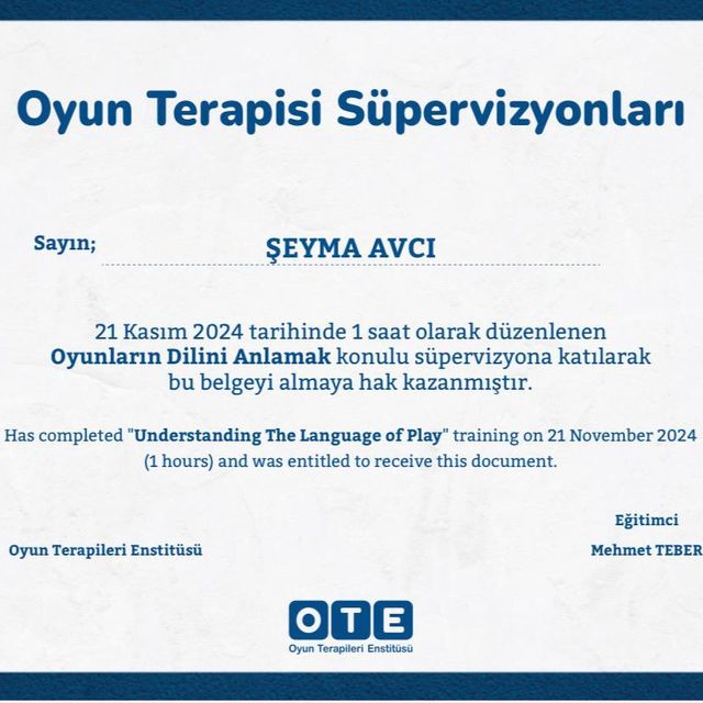 Resmi büyüt: certificate 7