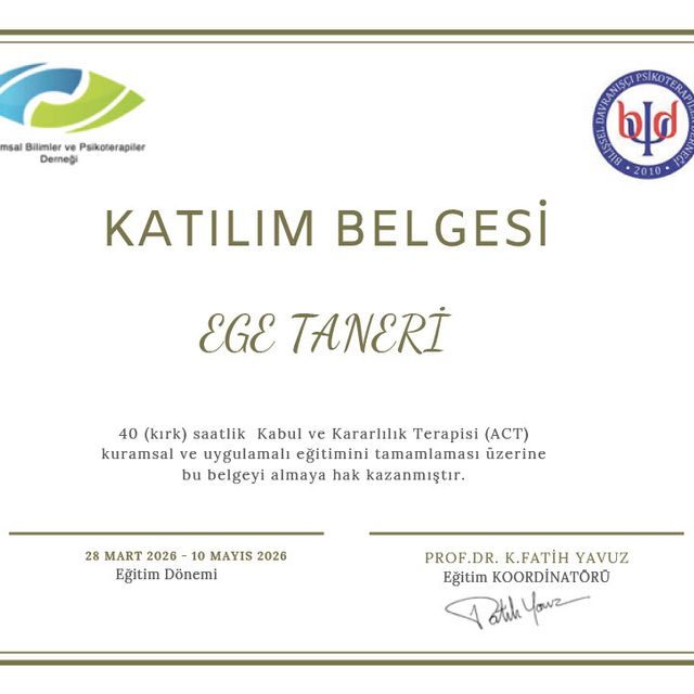 Resmi büyüt: certificate 4