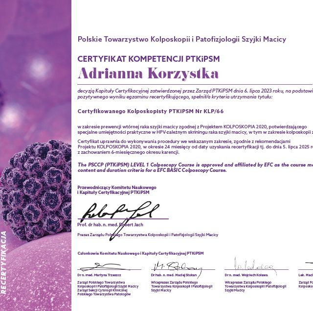 Powiększ obraz: certificate 2