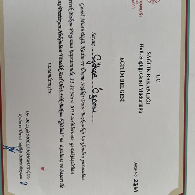 Resmi büyüt: certificate 8