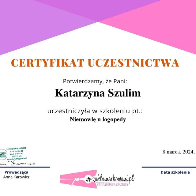 Powiększ obraz: certificate 13