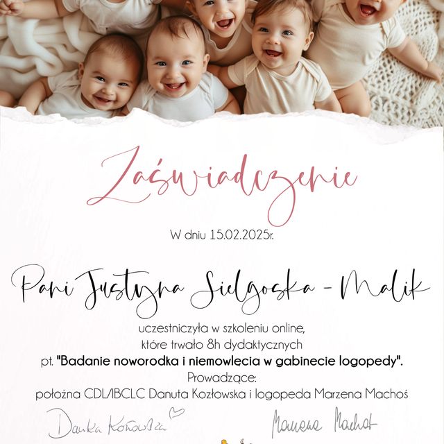 Powiększ obraz: certificate 1