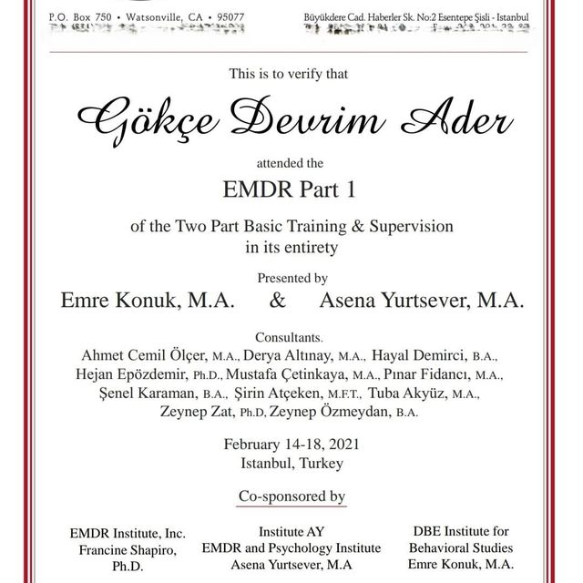 Resmi büyüt: certificate 3