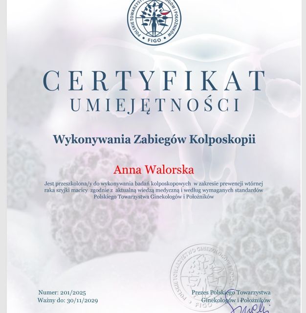 Powiększ obraz: certificate 3