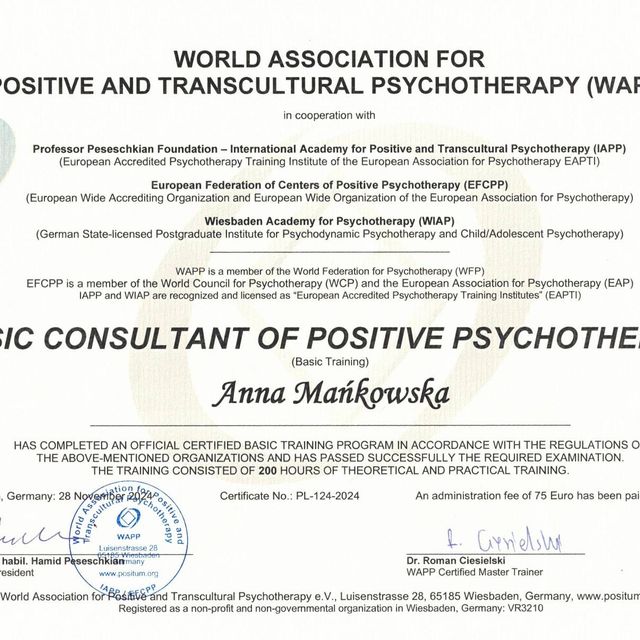 Powiększ obraz: certificate 1