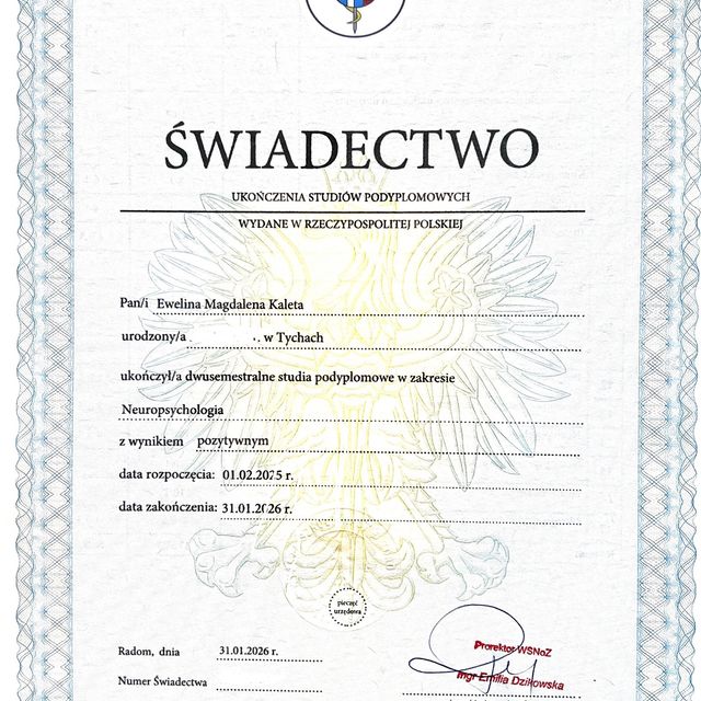 Powiększ obraz: certificate 20