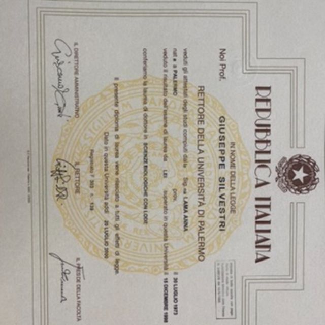 Ingrandire l'immagine: certificate 1