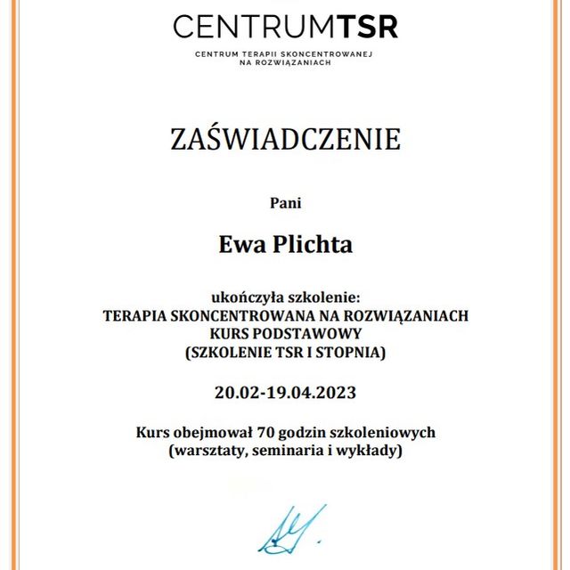 Powiększ obraz: certificate 1