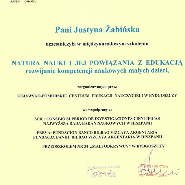 Powiększ obraz: certificate 8