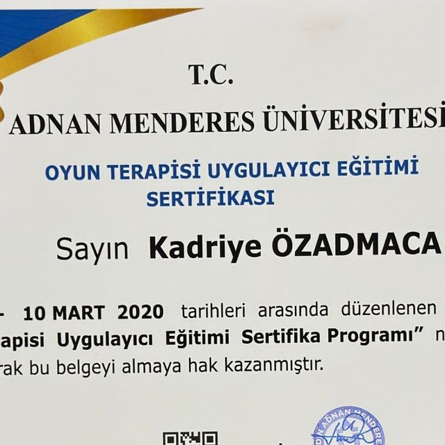 Resmi büyüt: certificate 14