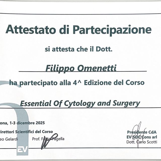 Ingrandire l'immagine: certificate 17