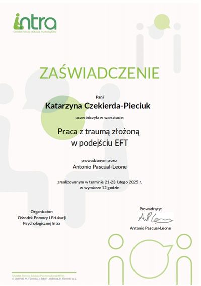 Powiększ obraz: certificate 3