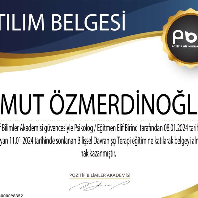 Resmi büyüt: certificate 1