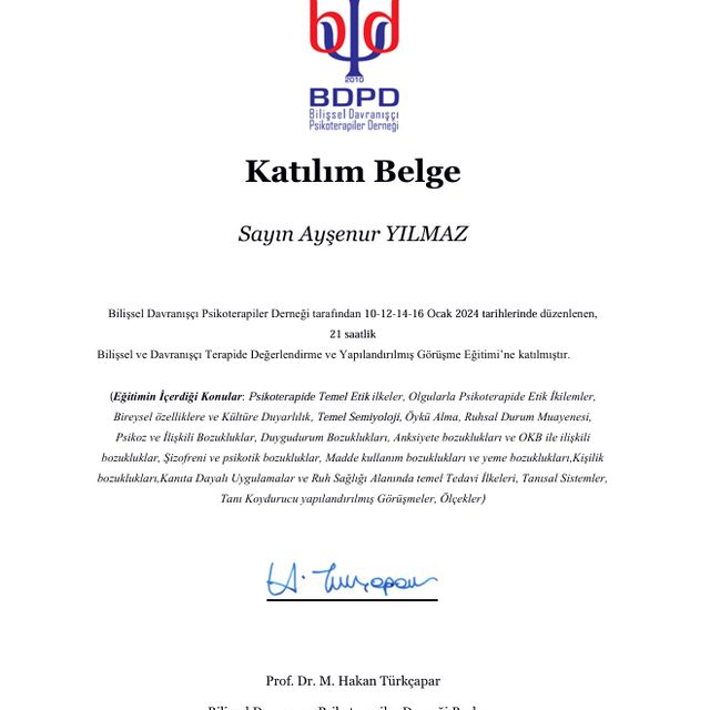 Resmi büyüt: certificate 2