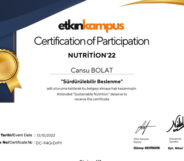 Resmi büyüt: certificate 5