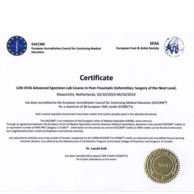 Powiększ obraz: certificate 2