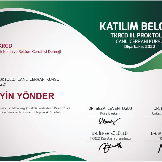 Resmi büyüt: certificate 2