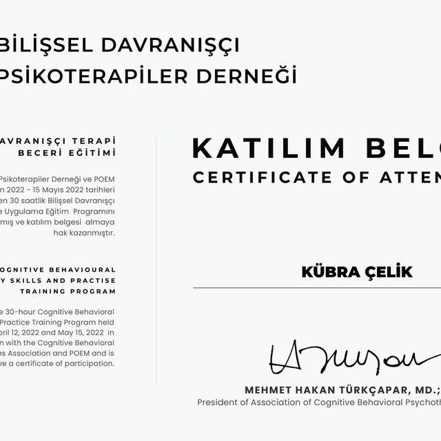 Resmi büyüt: certificate 1