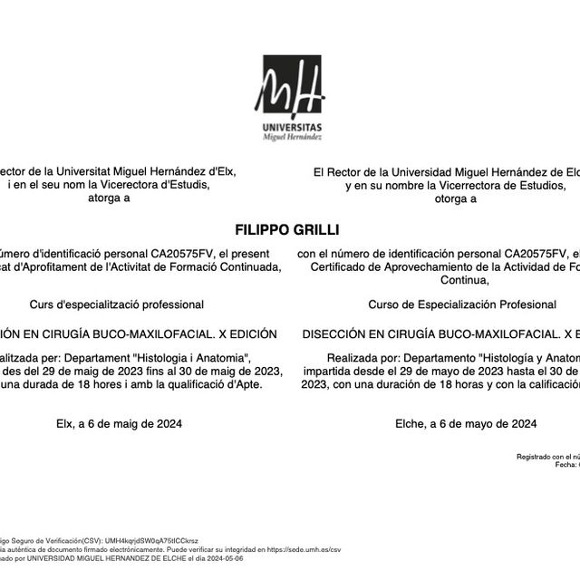 Ingrandire l'immagine: certificate 1