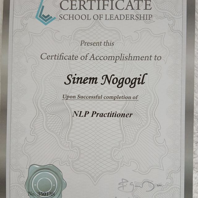 Resmi büyüt: certificate 13