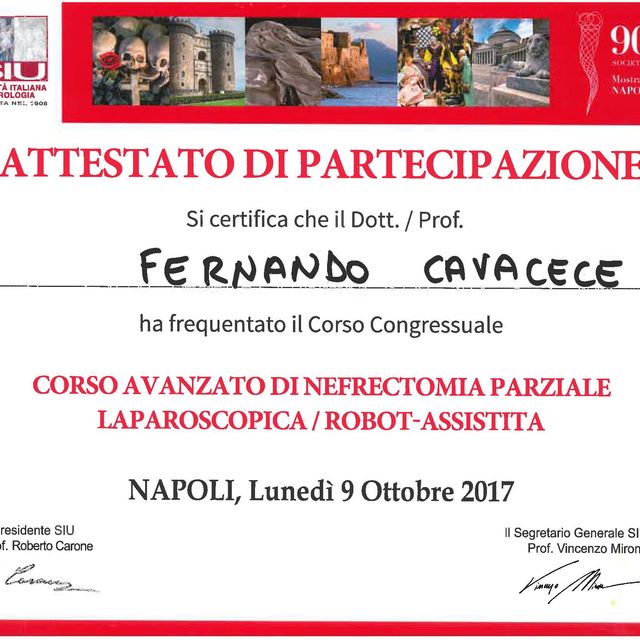 Ingrandire l'immagine: certificate 62