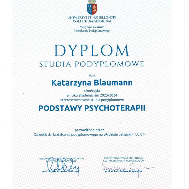 Powiększ obraz: certificate 2