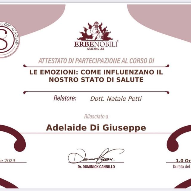 Ingrandire l'immagine: certificate 11