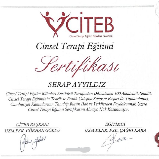 Resmi büyüt: certificate 2
