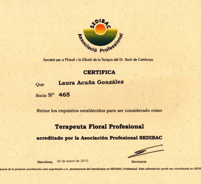Acercar imagen: certificate 4