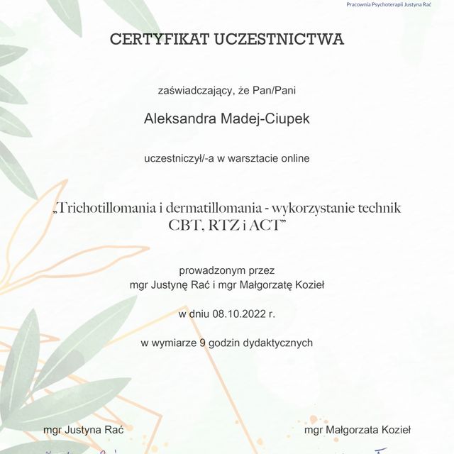 Powiększ obraz: certificate 13