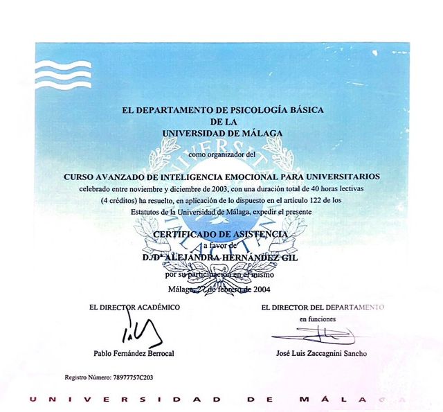 Acercar imagen: certificate 7