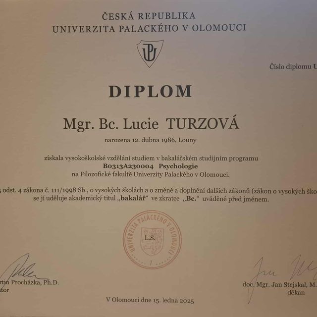 Zvětšit obrázek: certificate 11
