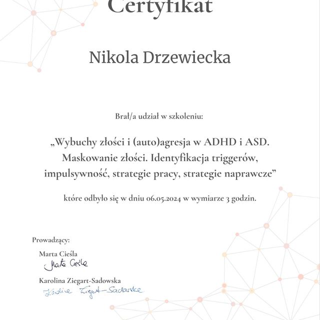 Powiększ obraz: certificate 4
