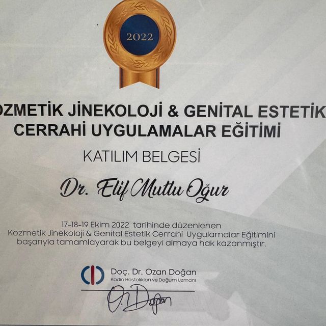 Resmi büyüt: certificate 2