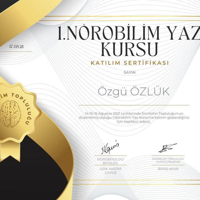 Resmi büyüt: certificate 1
