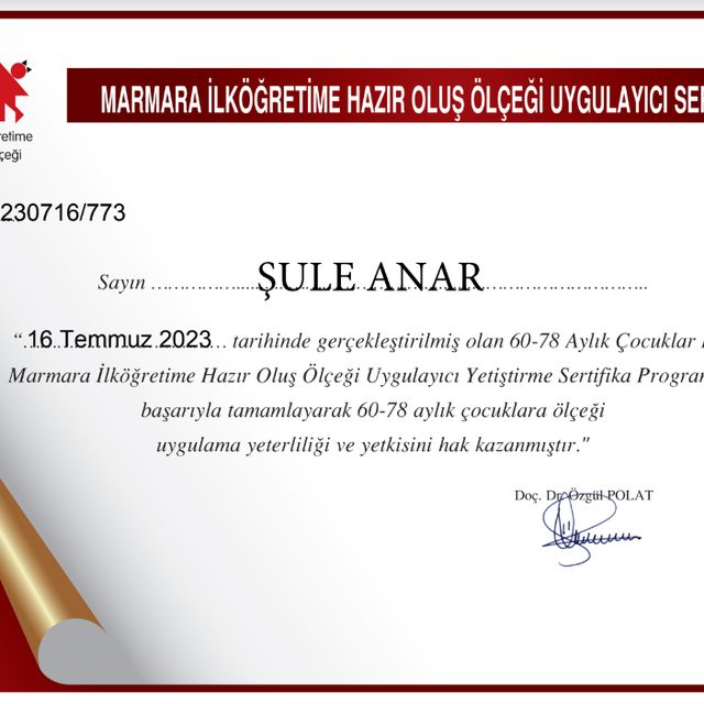 Resmi büyüt: certificate 3