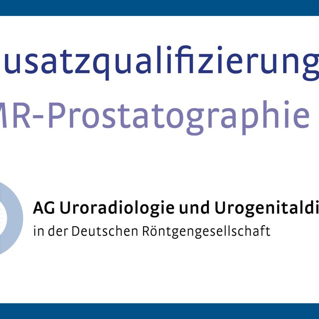 Bild vergrößern: certificate 1