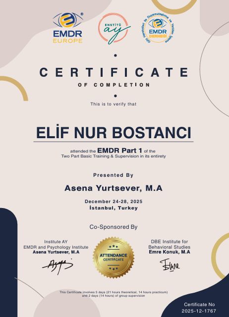 Resmi büyüt: certificate 6