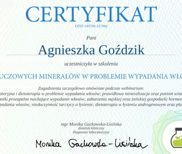 Powiększ obraz: certificate 1