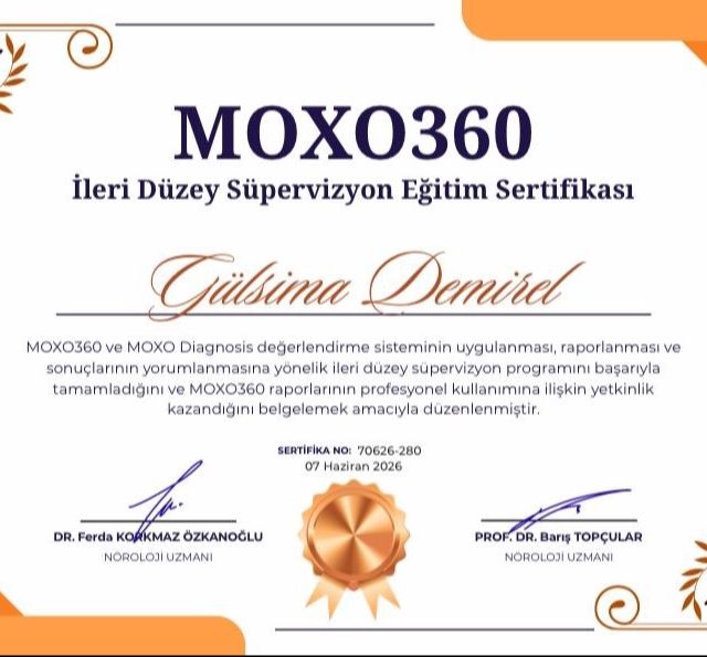 Resmi büyüt: certificate 1