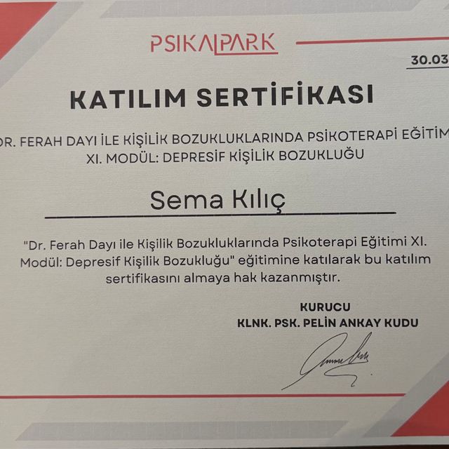 Resmi büyüt: certificate 17