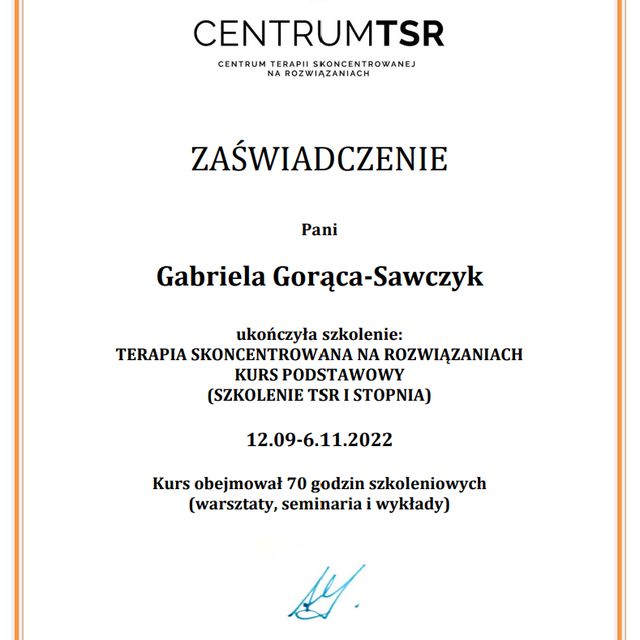 Powiększ obraz: certificate 1
