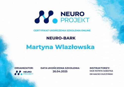 Powiększ obraz: certificate 1