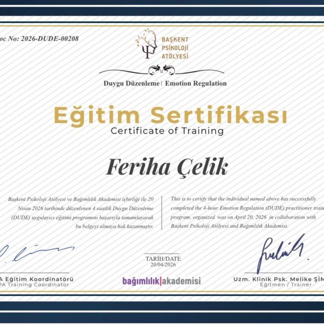 Resmi büyüt: certificate 8