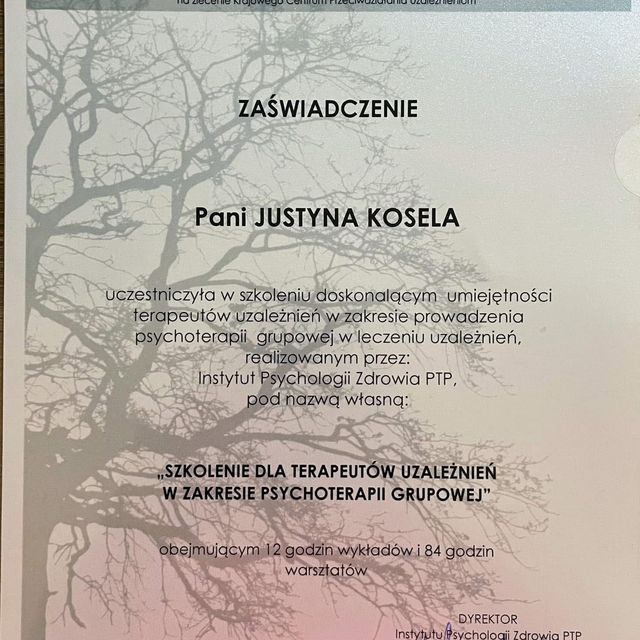 Powiększ obraz: certificate 8