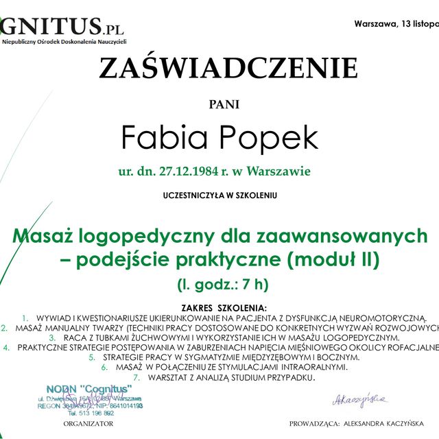 Powiększ obraz: certificate 11