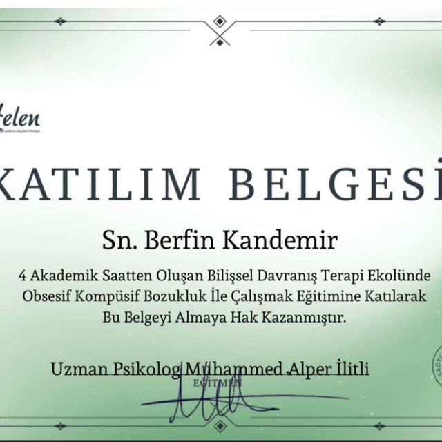 Resmi büyüt: certificate 25