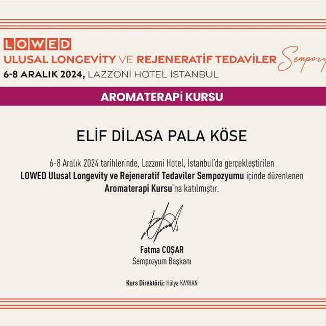 Resmi büyüt: certificate 2