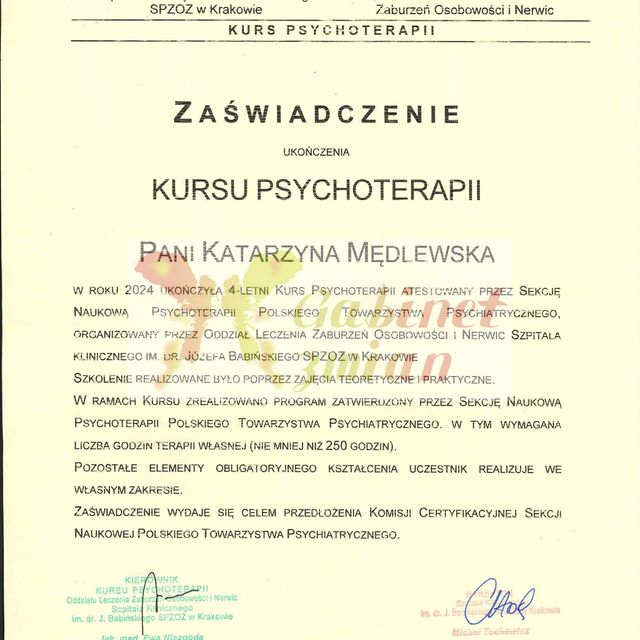 Powiększ obraz: certificate 1