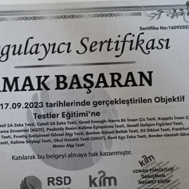 Resmi büyüt: certificate 9